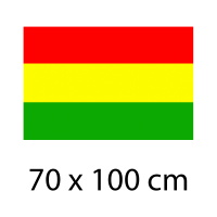 70 x 100 cm